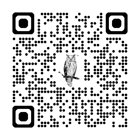 iPhone download QR code